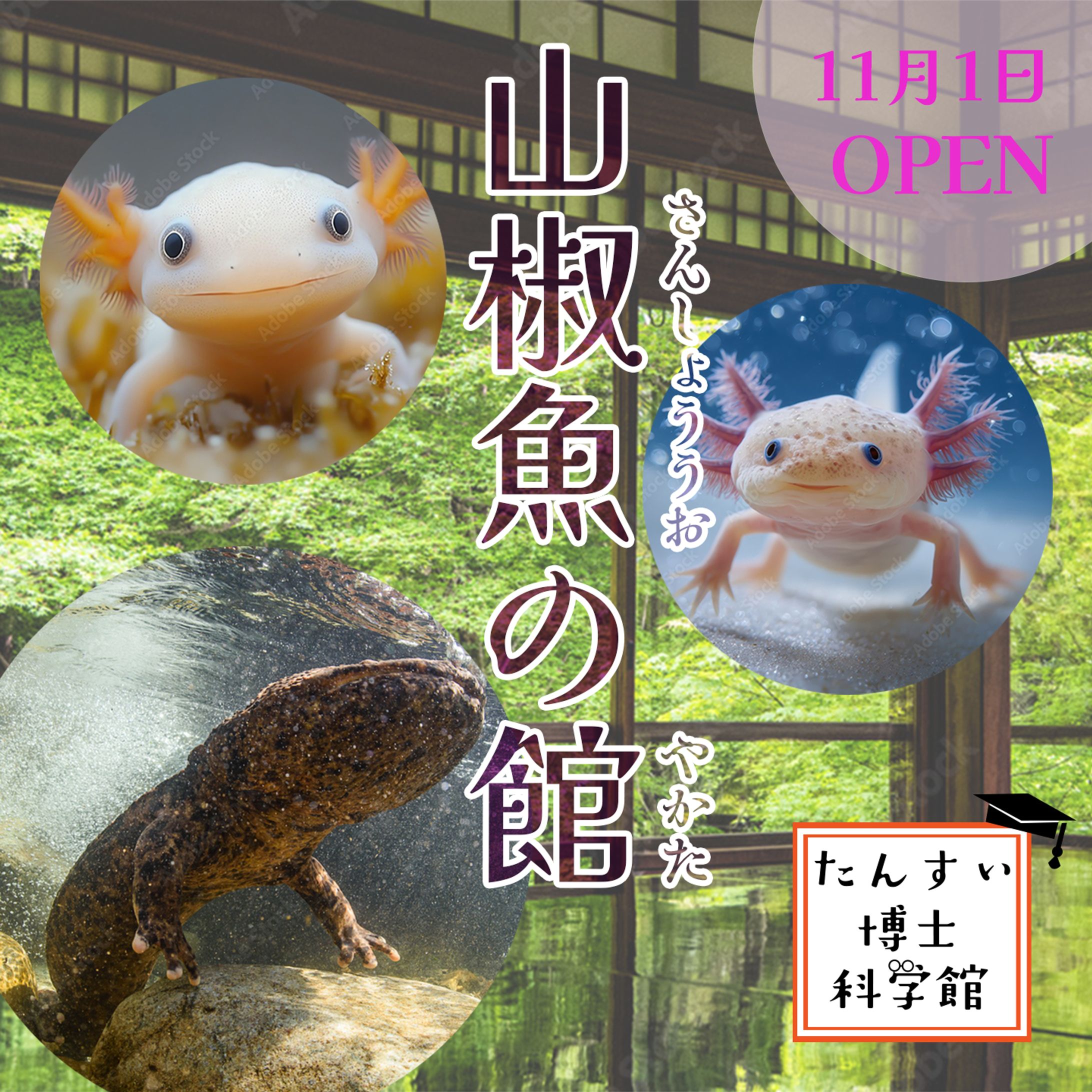 バナーから続くサイト/「水族館のバナー・サイト」-1