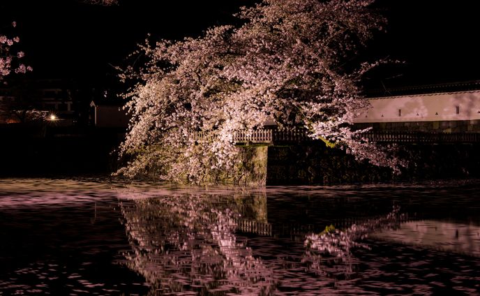 Sakura2017 - Odawara