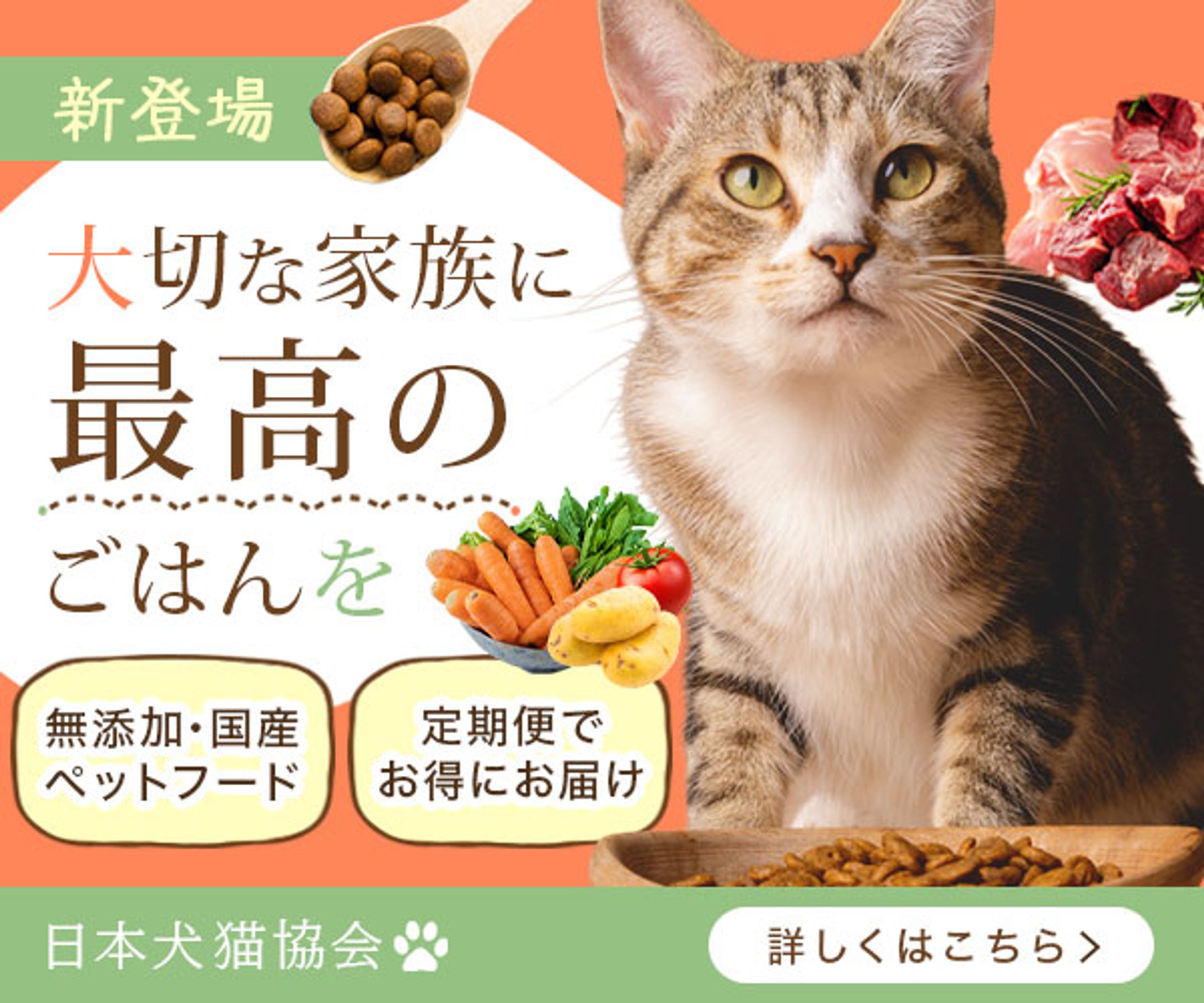 広告バナー　キャットフード-1