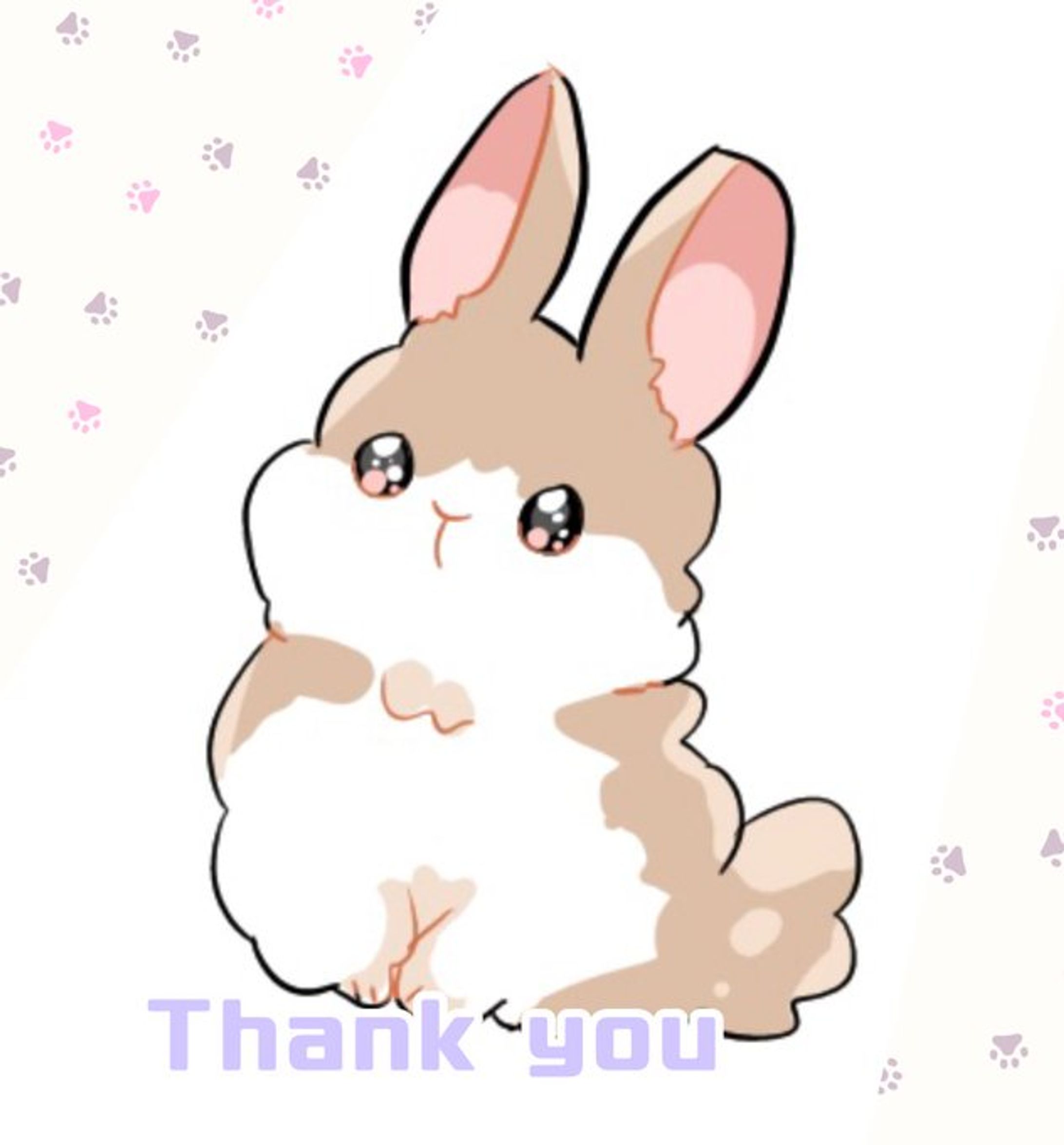 動物　イラスト　制作-1