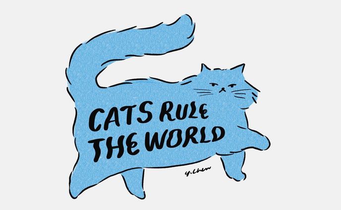 CATS Rule The World