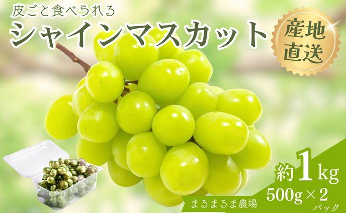 商品画像_シャインマスカット