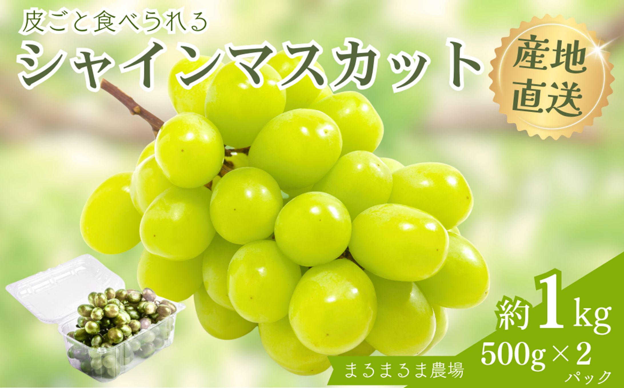 商品画像_シャインマスカット-1