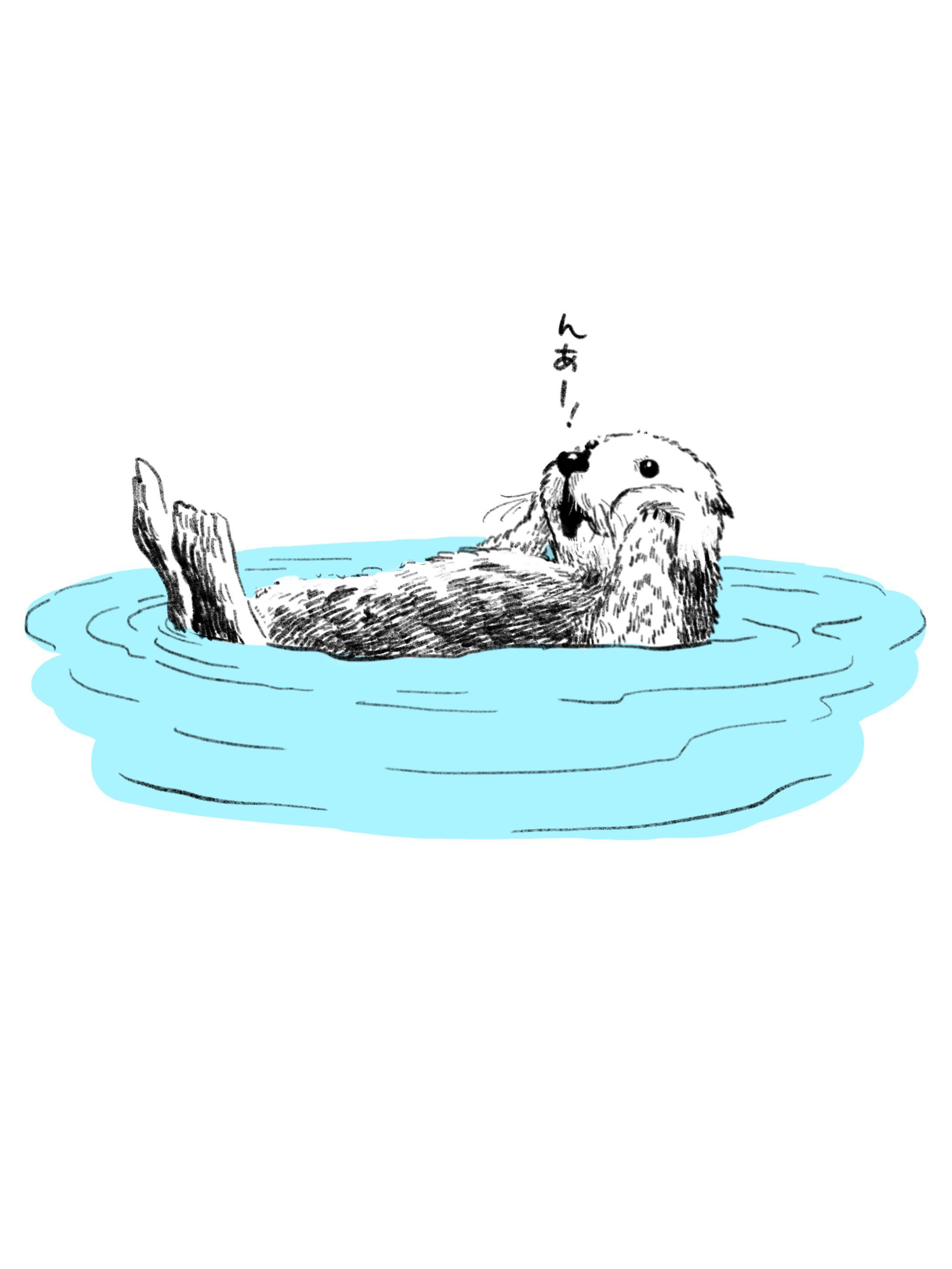 ラッコイラスト-1