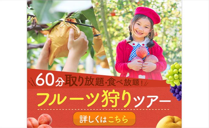 lp制作、果物