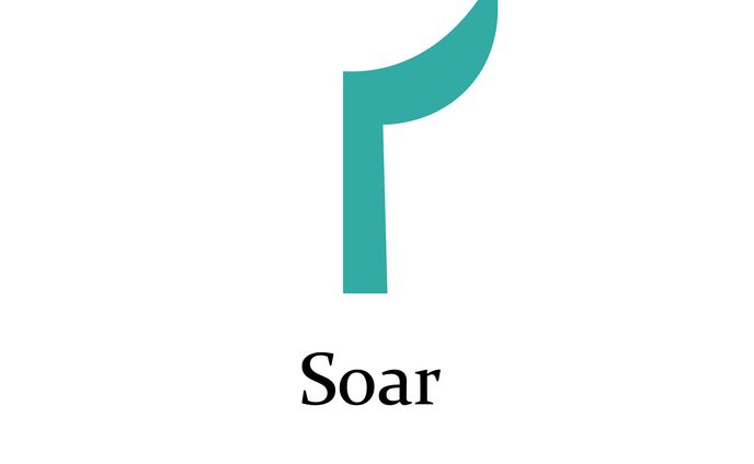 Soar