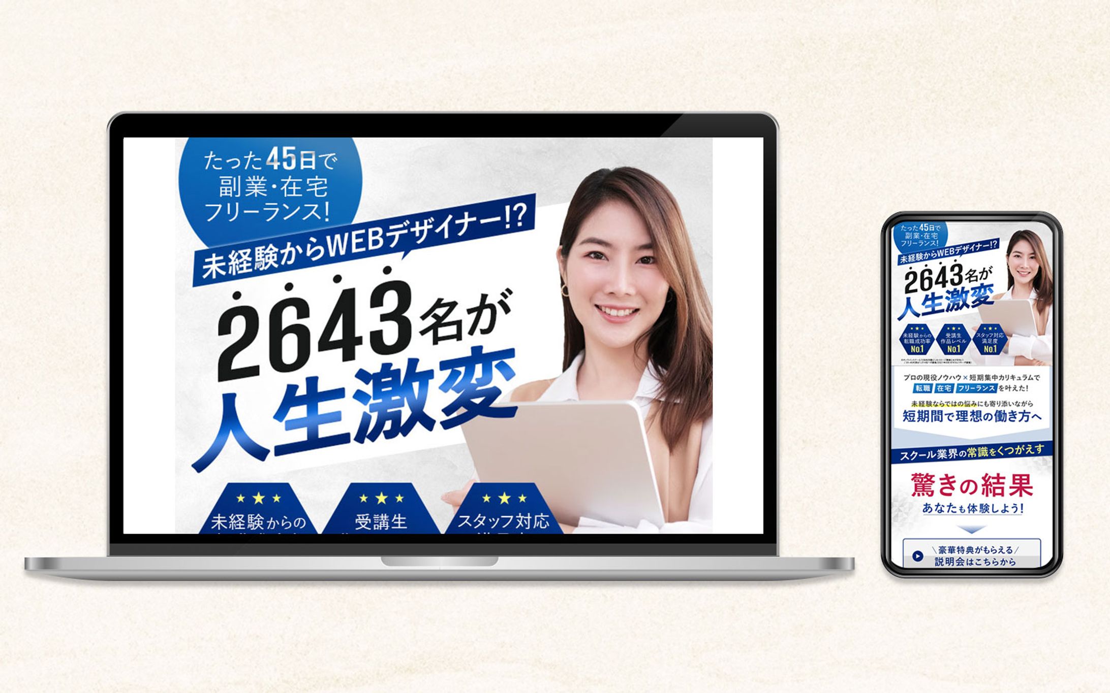 LP：デザインスクールFV-1