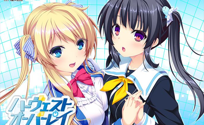 オーバーレイ、ブートレグ