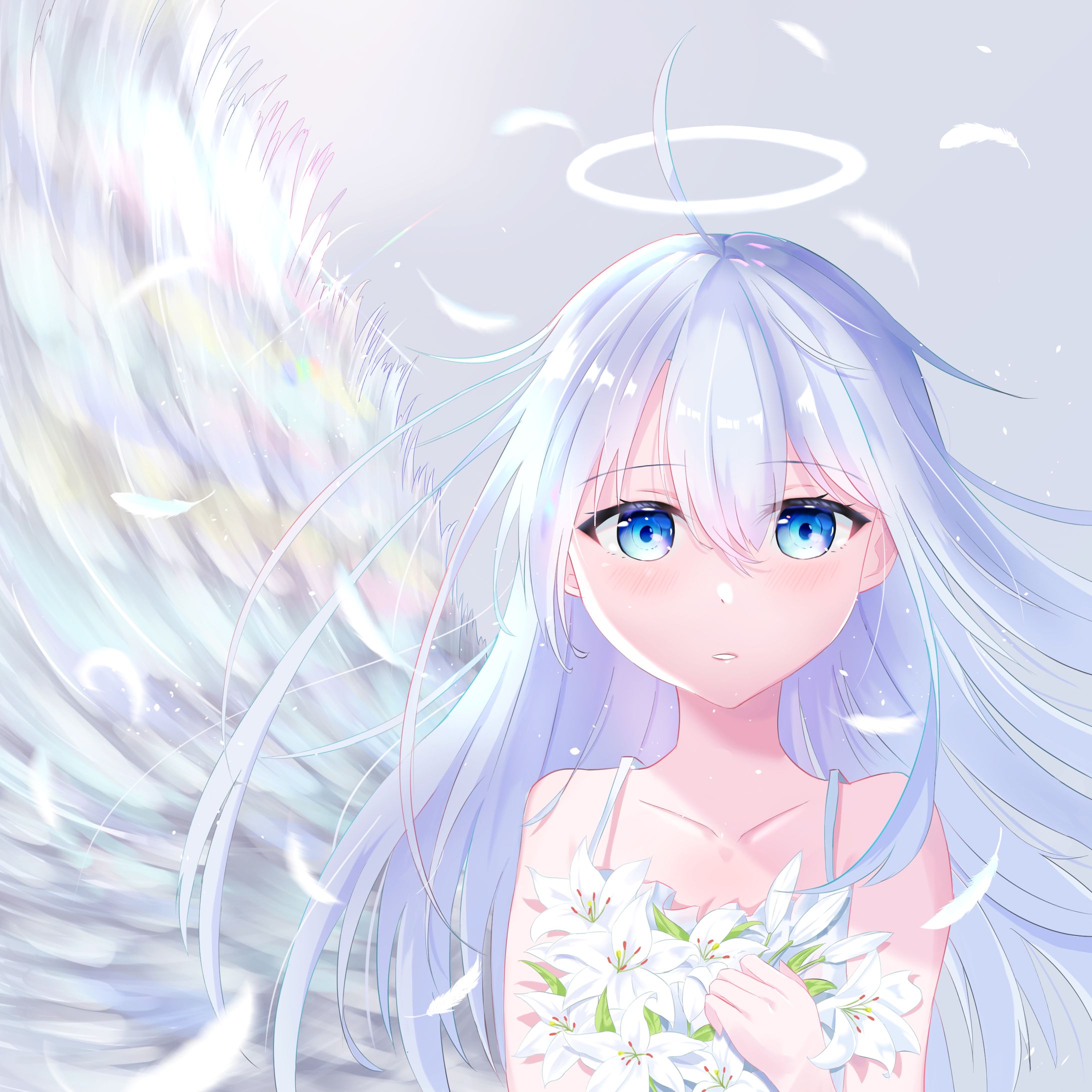 Innocent wing -1