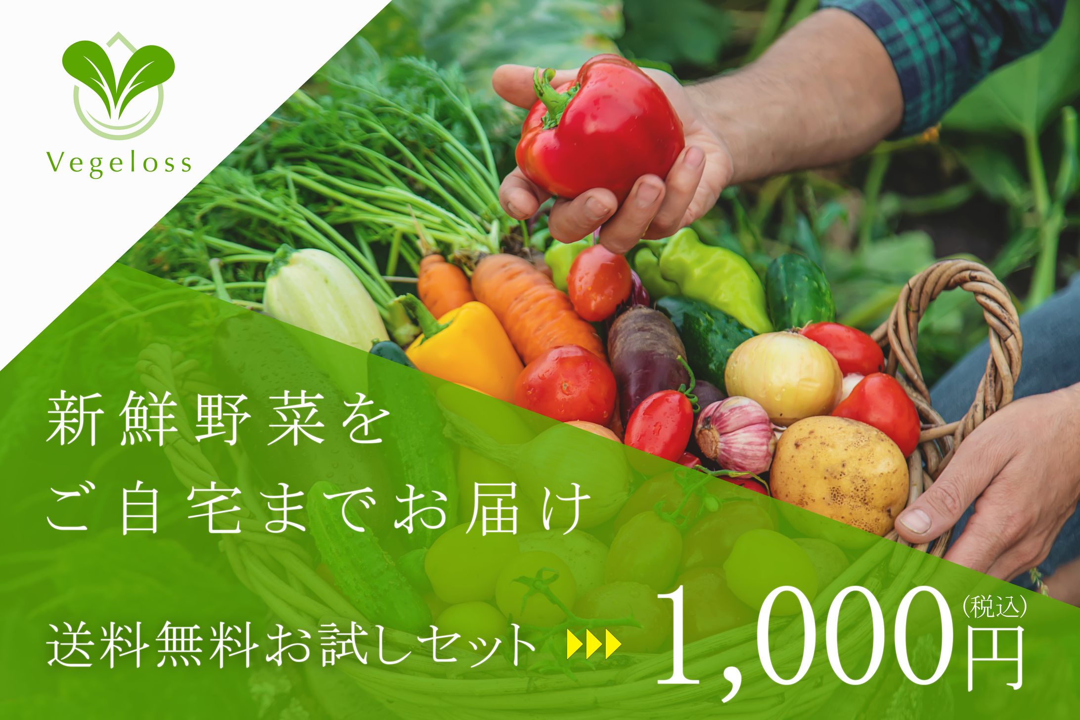 野菜サブスク　スマホスライドバナー【Canva】-1