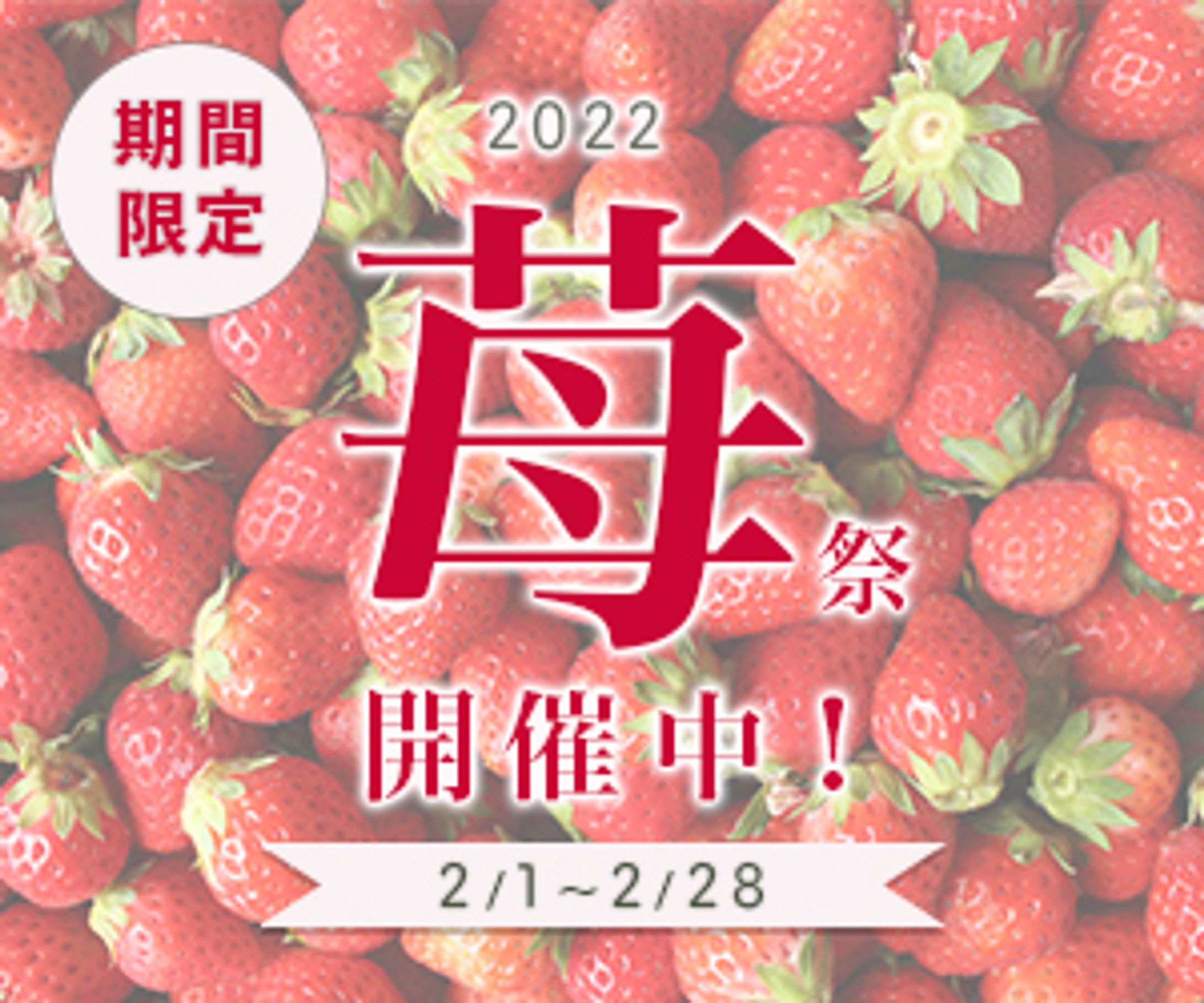 いちごフェア　バナー　架空-1