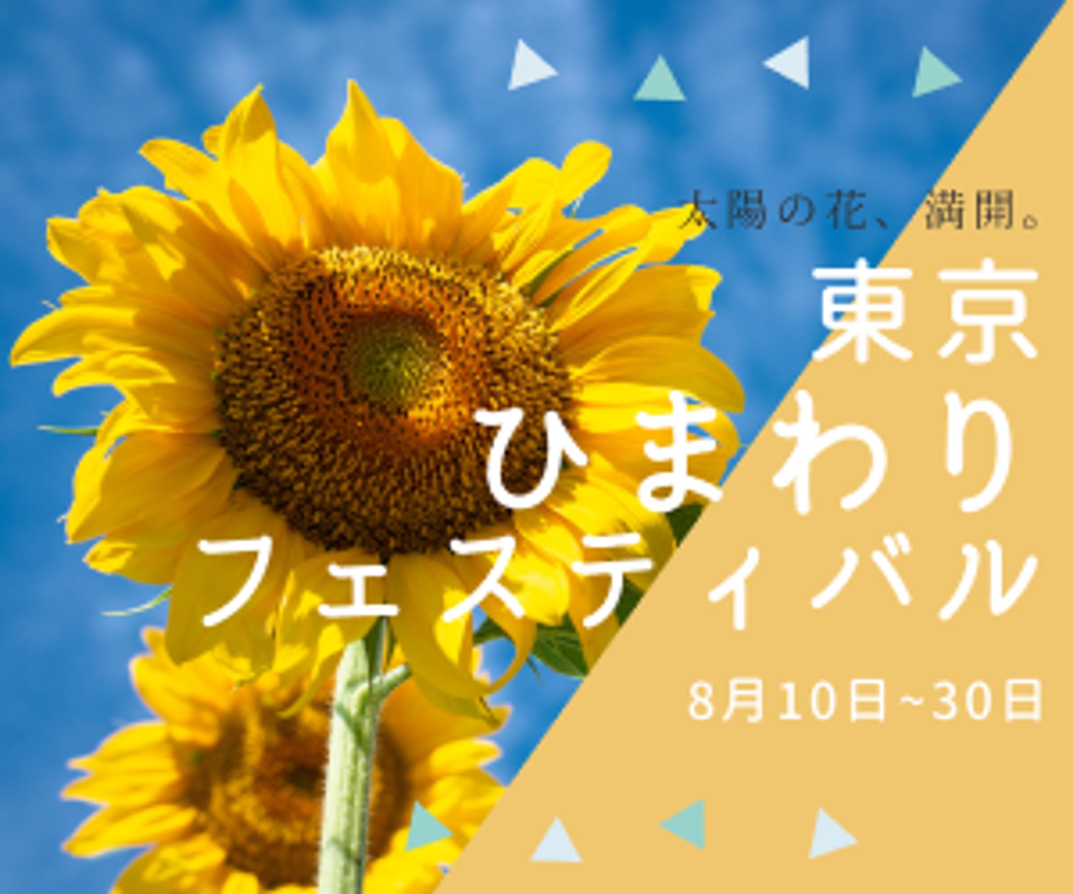  【架空】ひまわりフェスティバルバナー-1