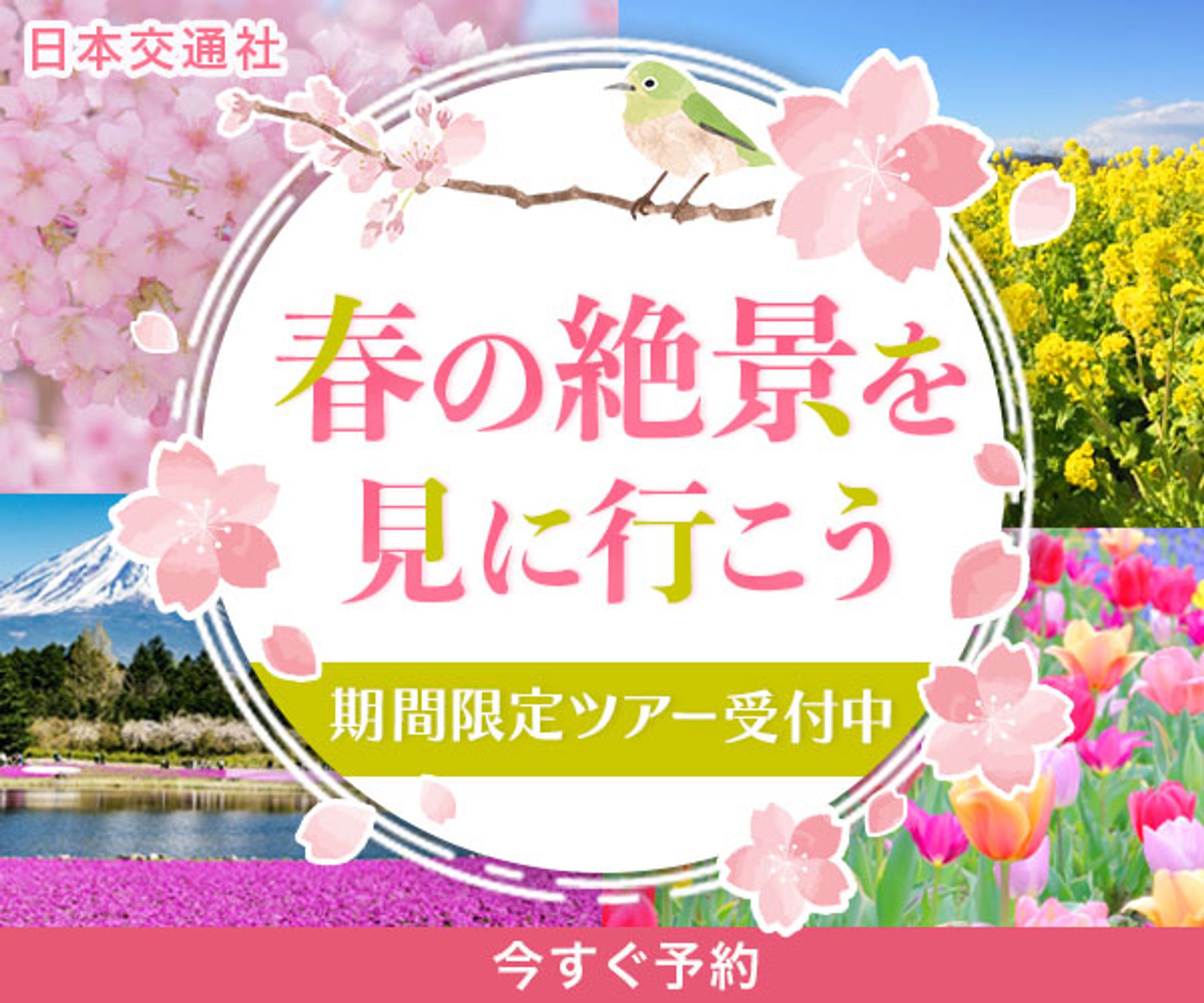 バナー：春の旅行ツアー-1