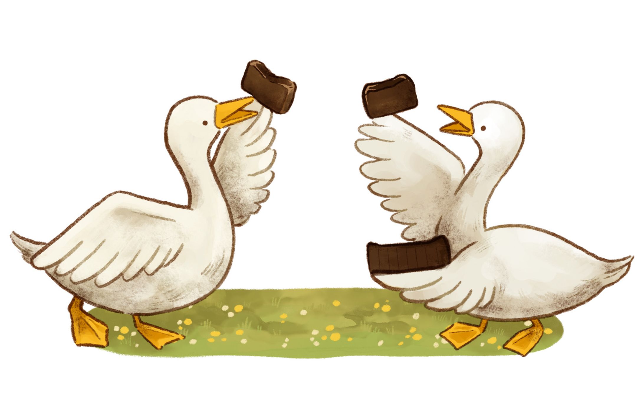 生チョコ、テリーヌ、パッケージ用イラスト-1