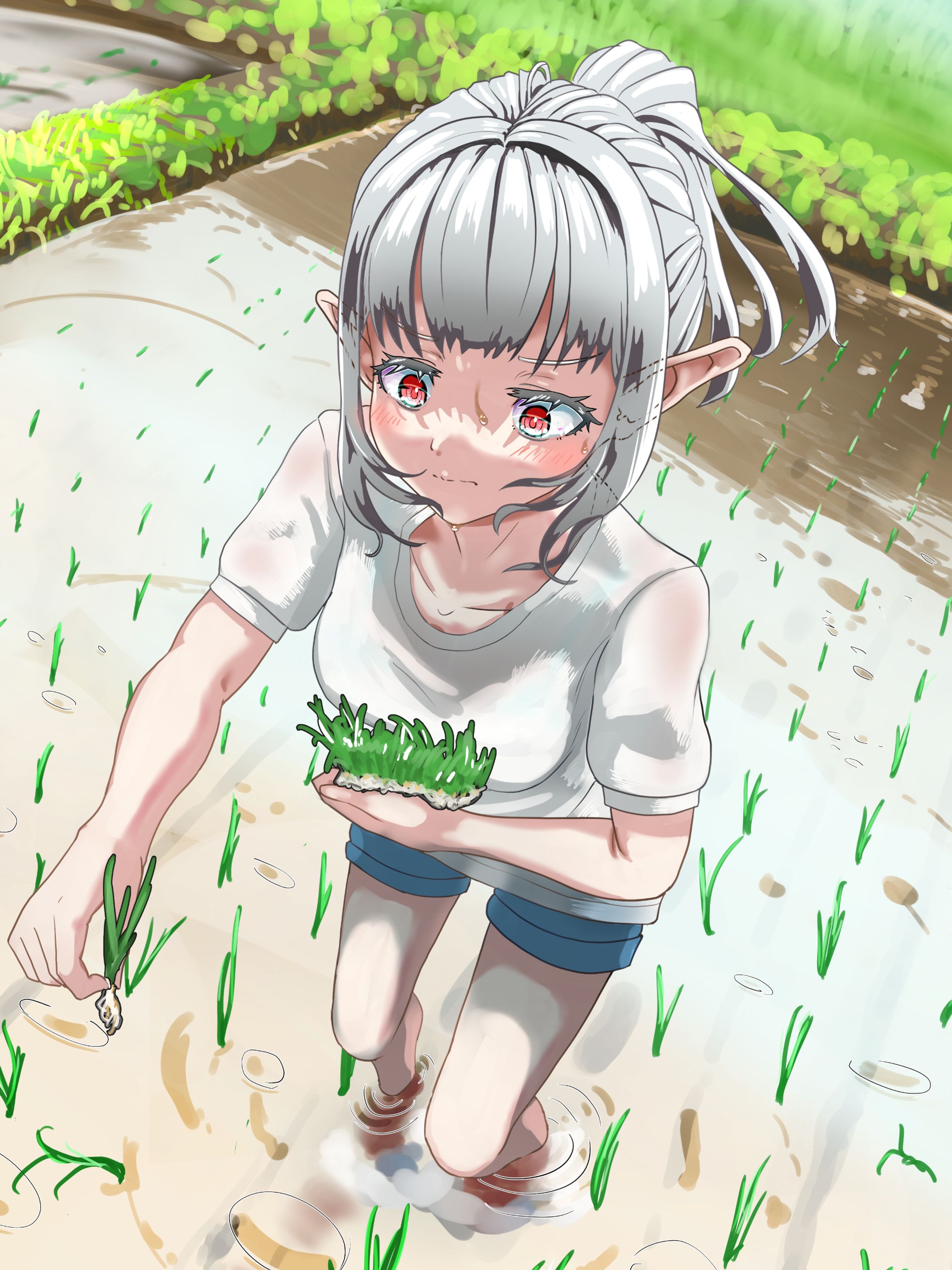 じぶんちの田植え-1