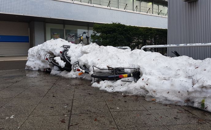 Frozen bicycles