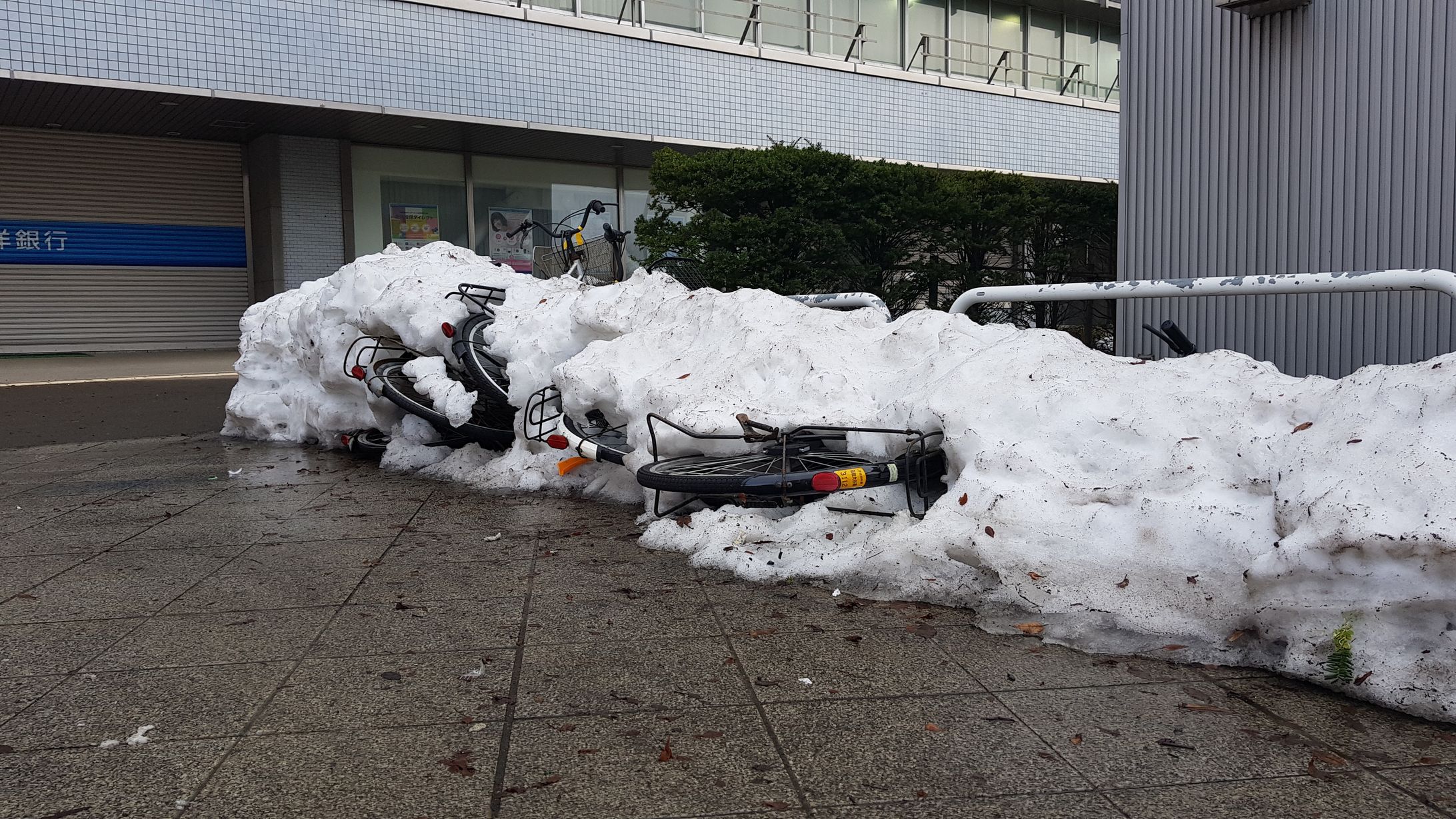 Frozen bicycles-1