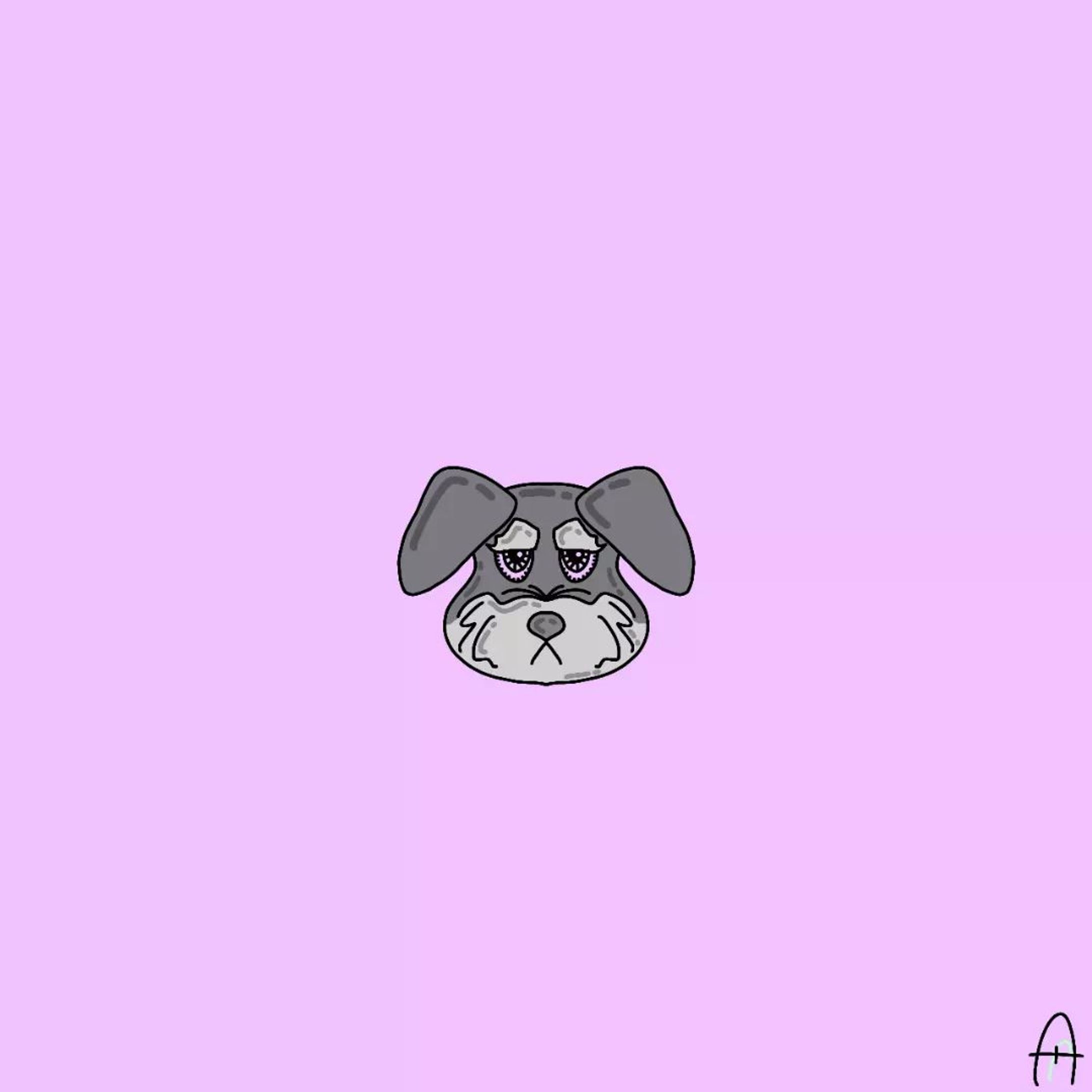ミニチュアシュナウザー-1