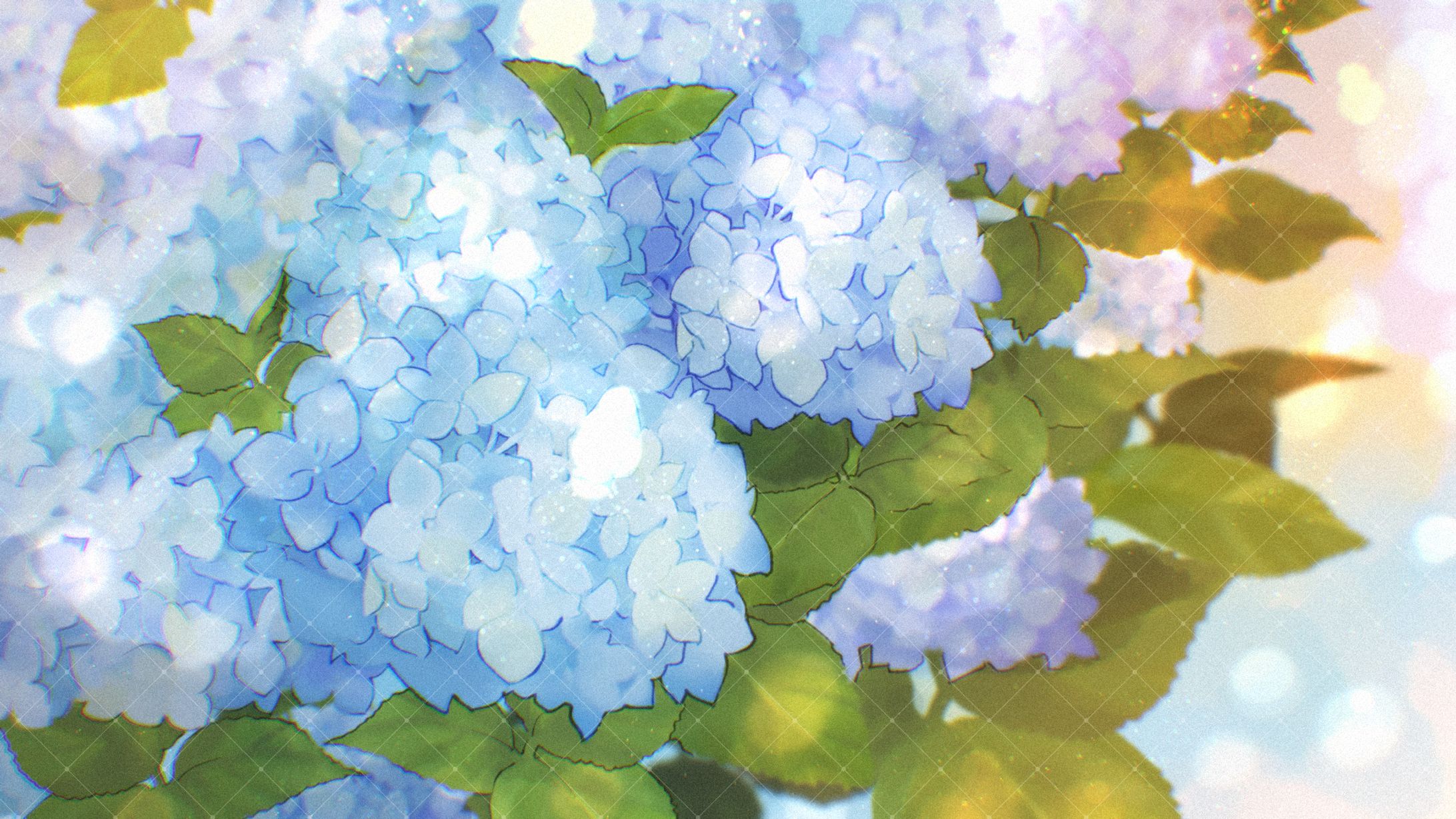 紫陽花-1