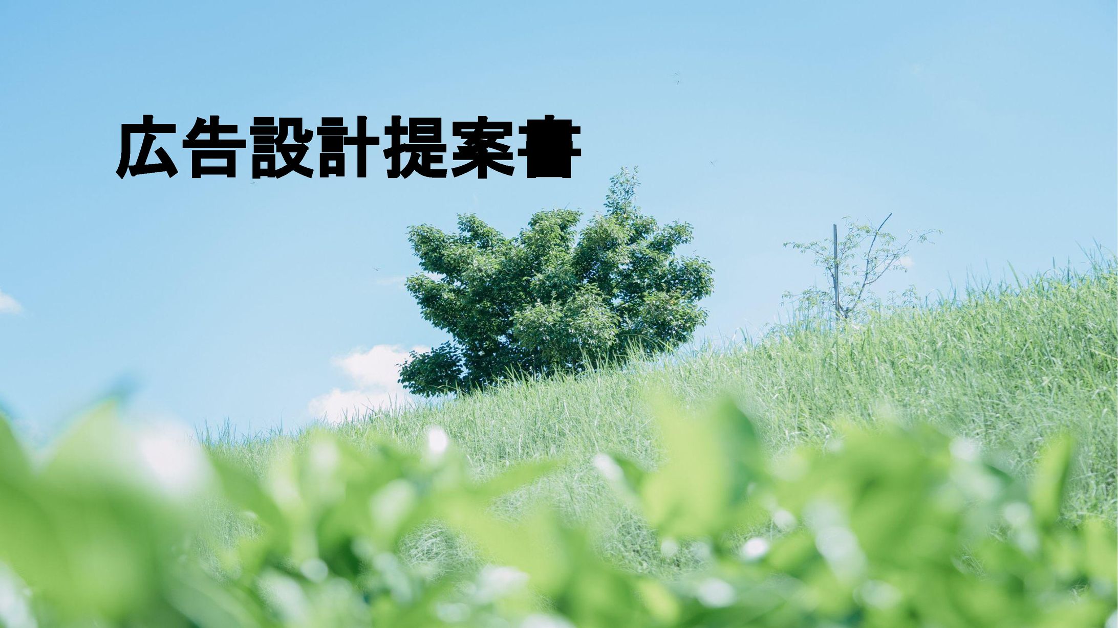 広告設計提案／ママ向け無料撮影会-1
