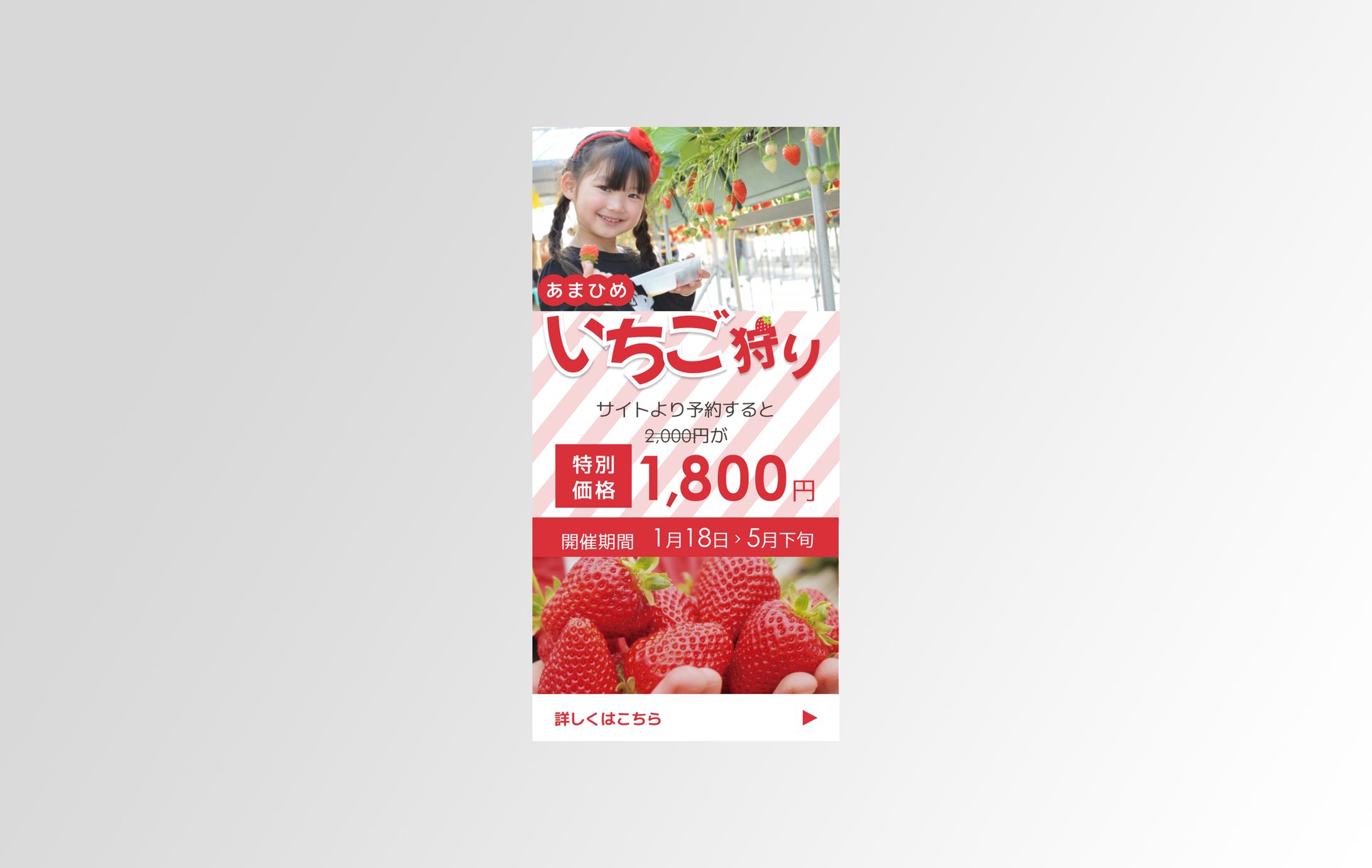 いちご狩り告知バナー-1