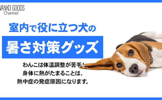 動物系サムネ