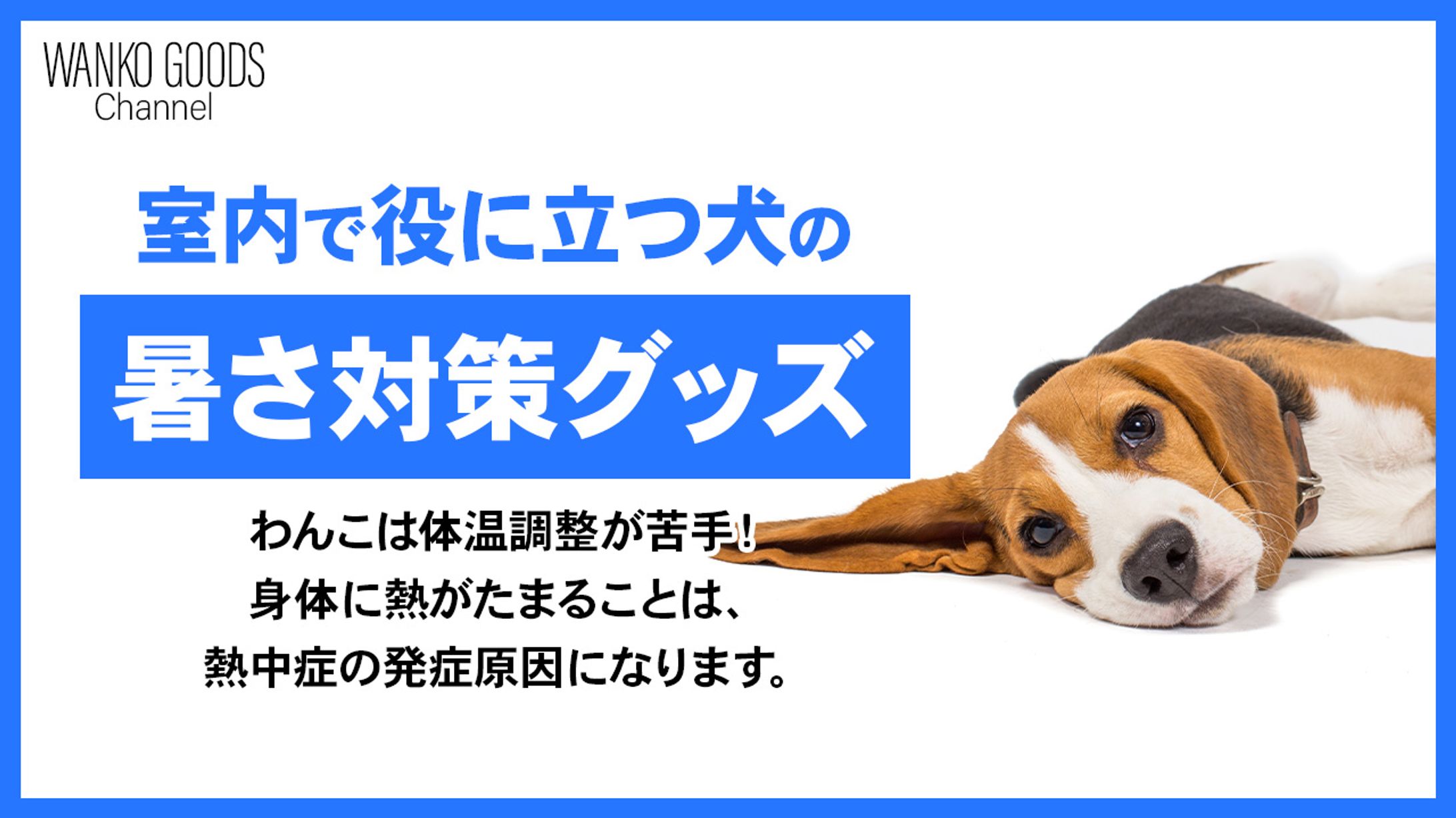 動物系サムネ-1