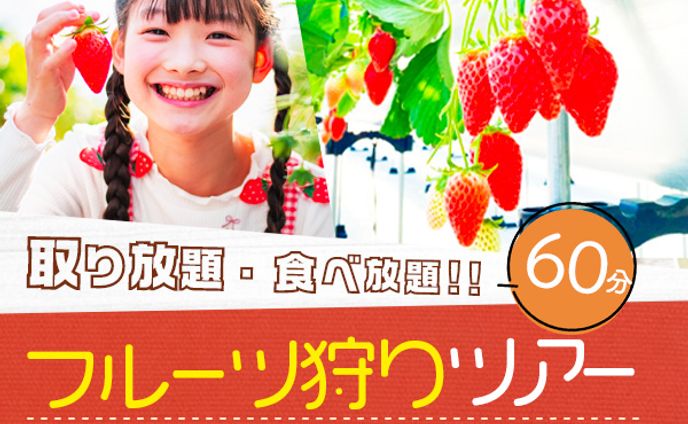 フルーツ狩り（スクール課題）