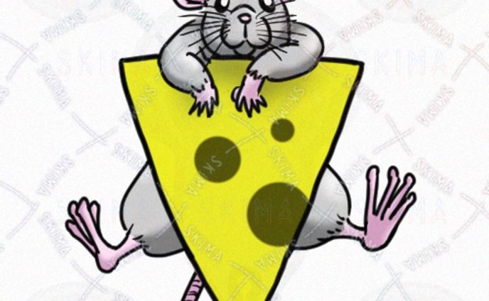 SKIMA（スキマ）