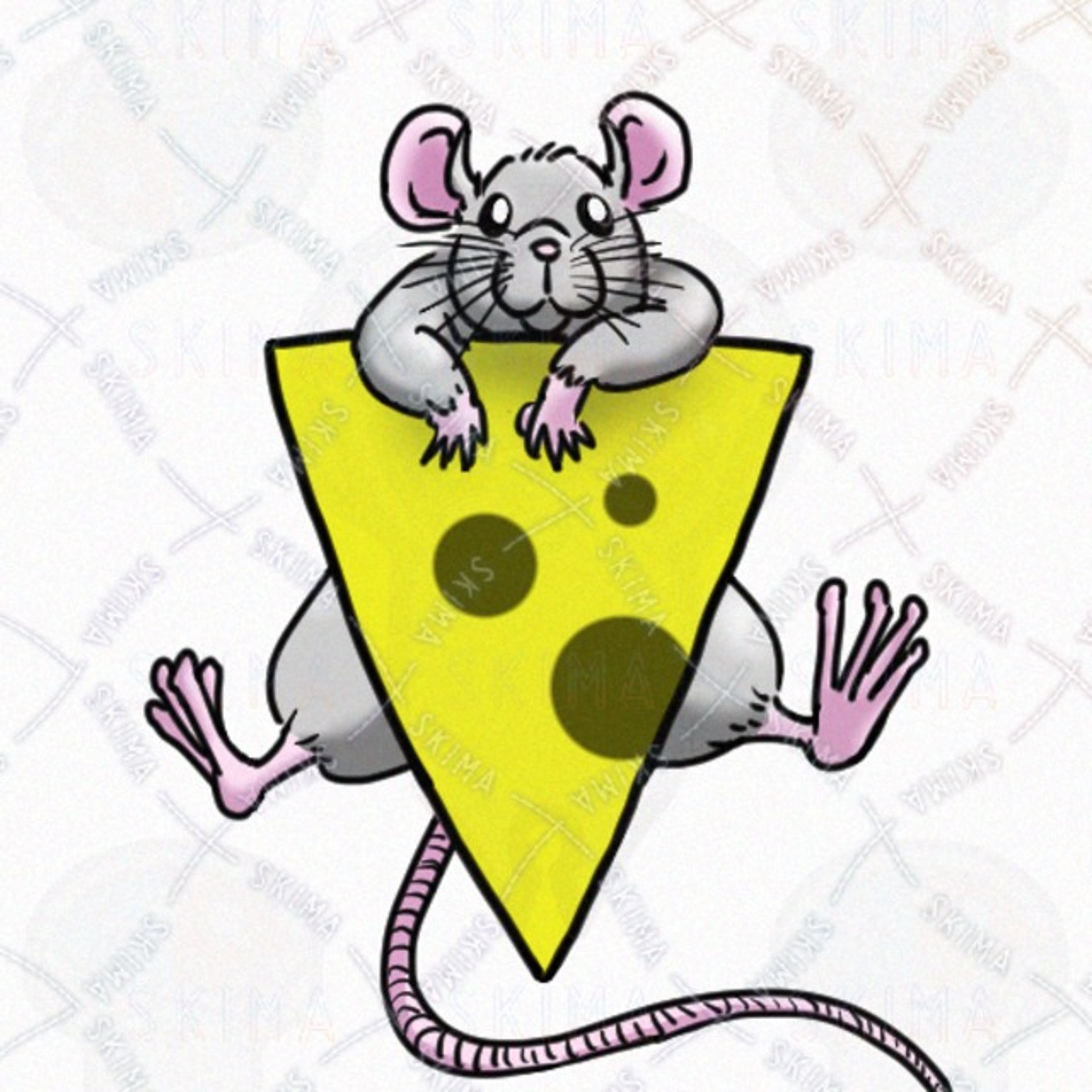 SKIMA（スキマ）-1