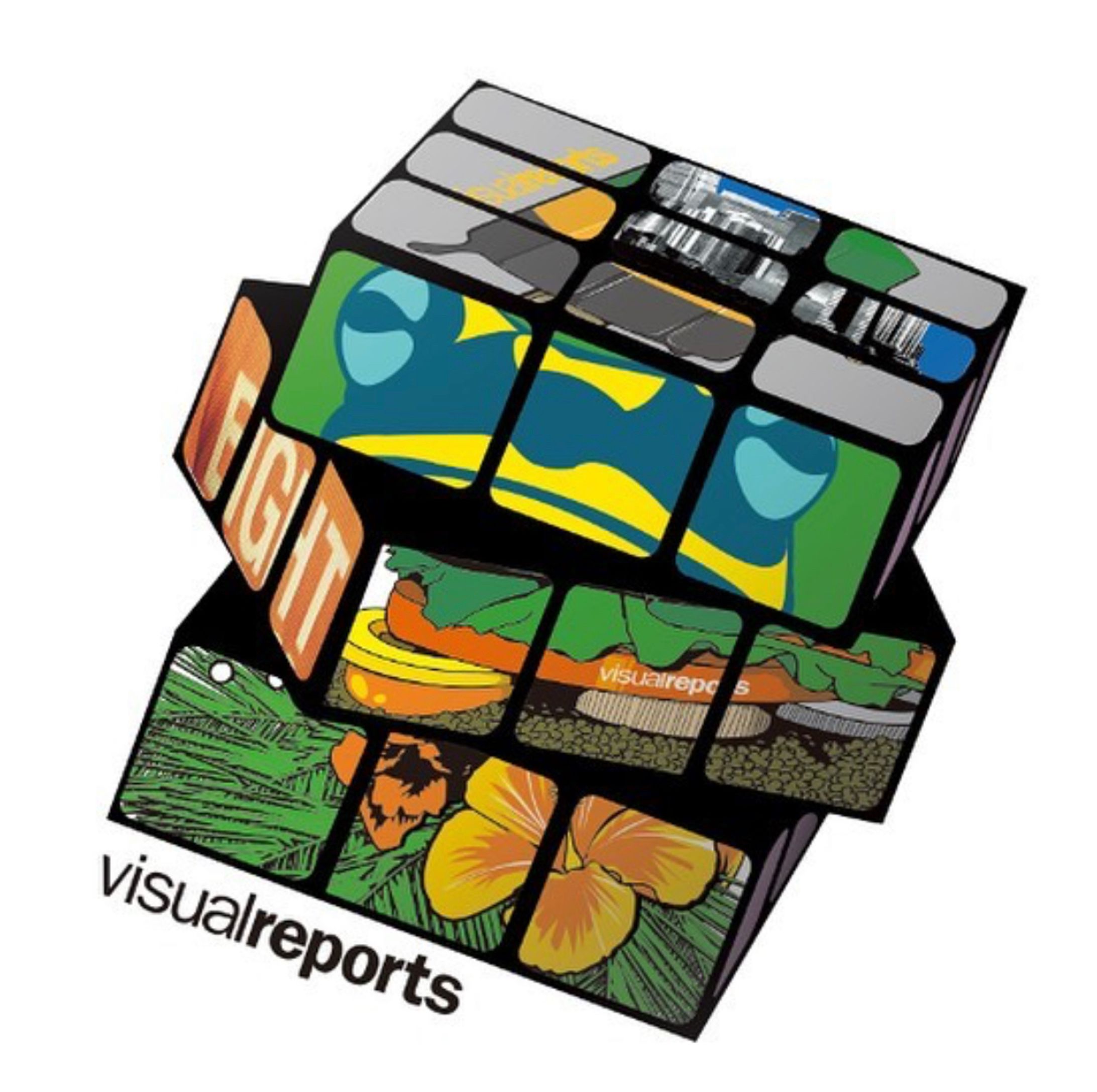 Visualreports 『Cube』-1
