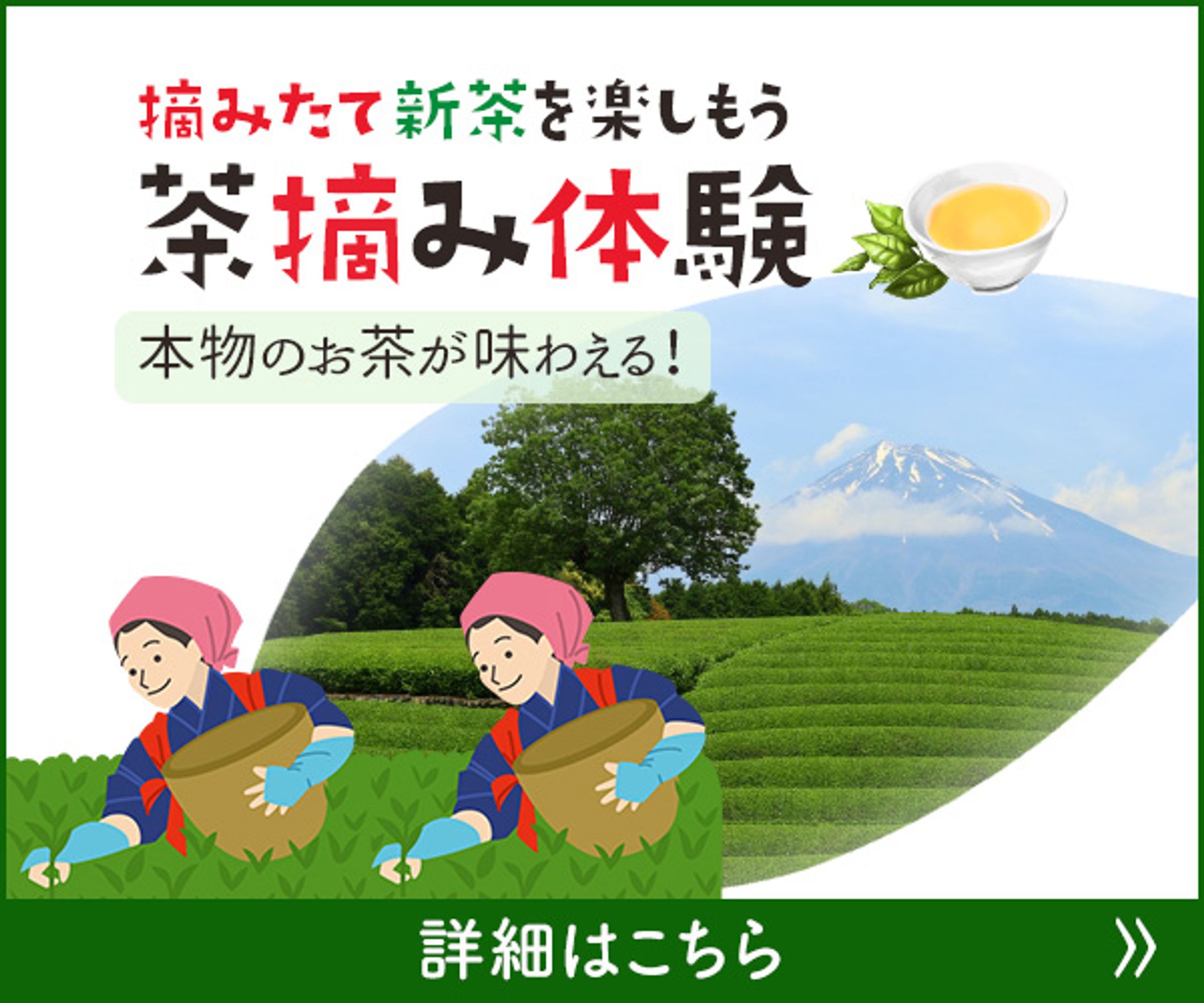 茶摘み体験のバナー-1