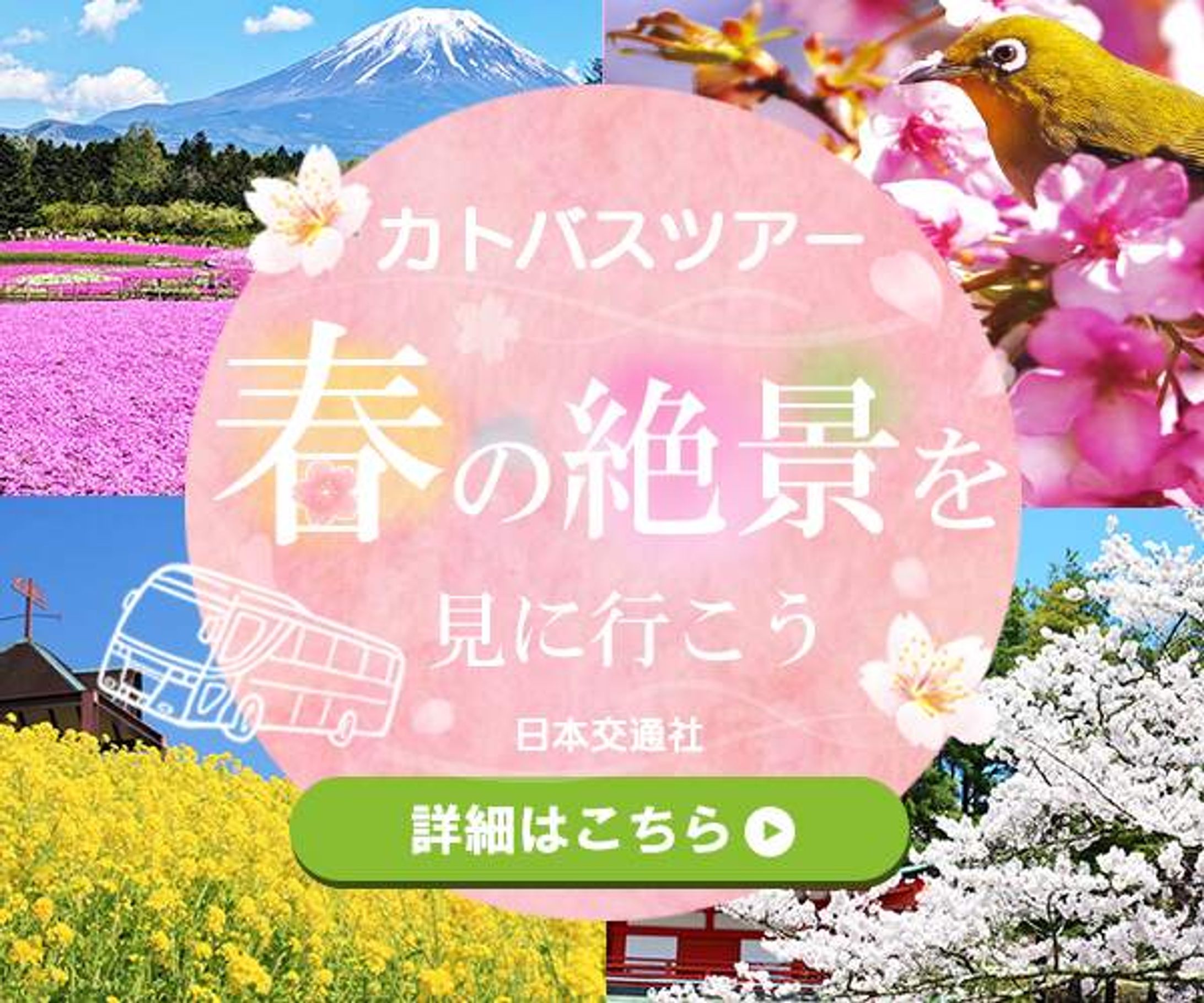 【バナー】春のバスツアー-1