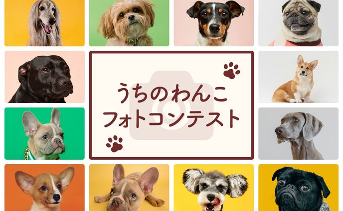 オンラインコンテストバナー