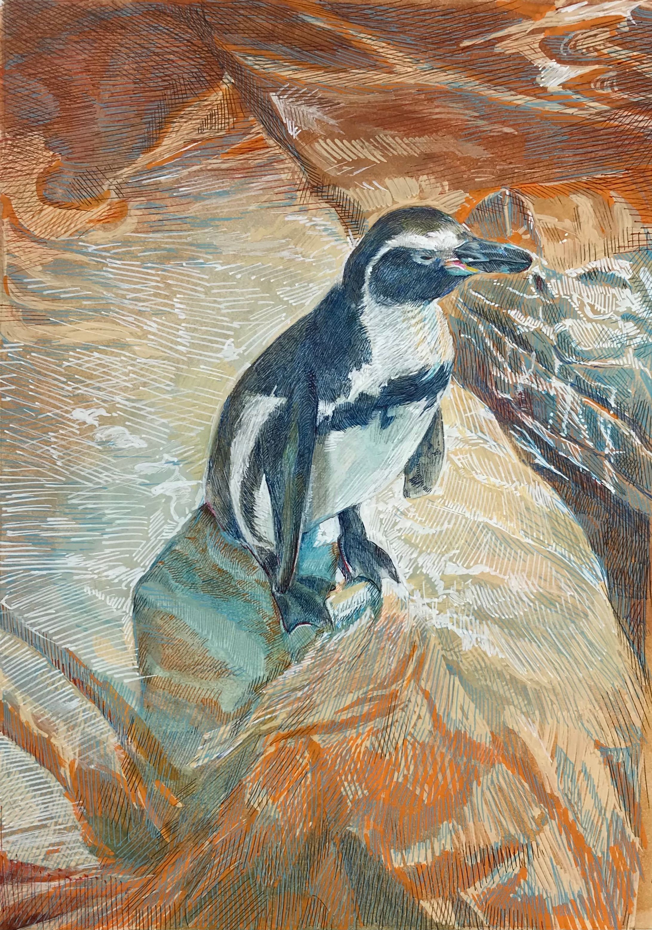ペンギン　2021.12-1