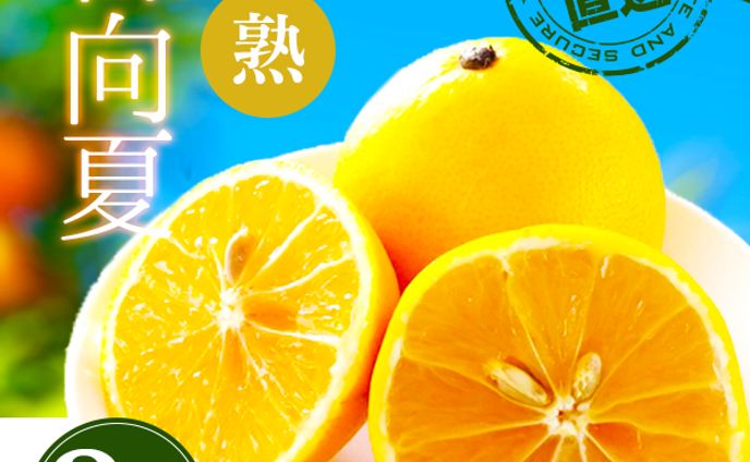 ふるさと納税日向夏