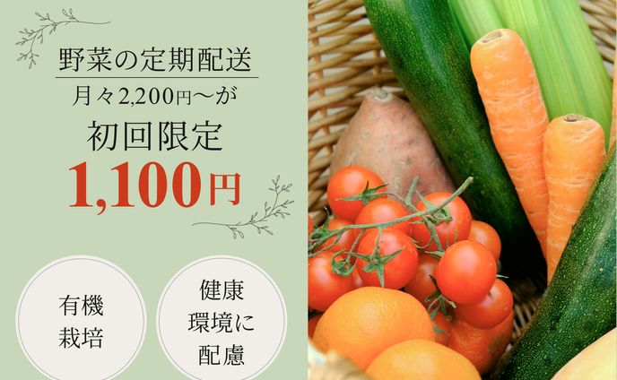 似顔絵千本ノック！、架空