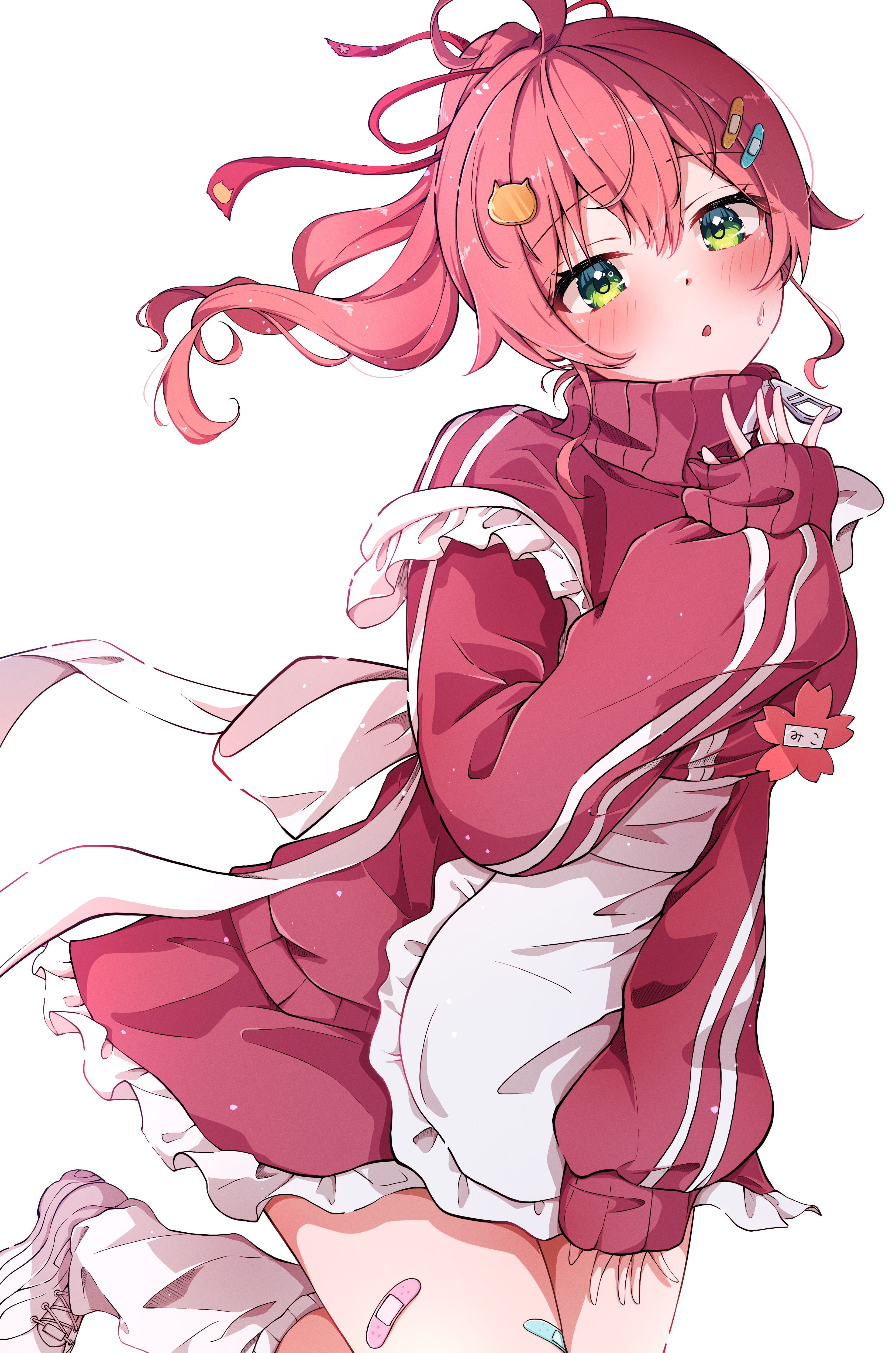 2239さくら様専用2✨✨ イベント詳細 | 一般社団法人 寒川町観光協会