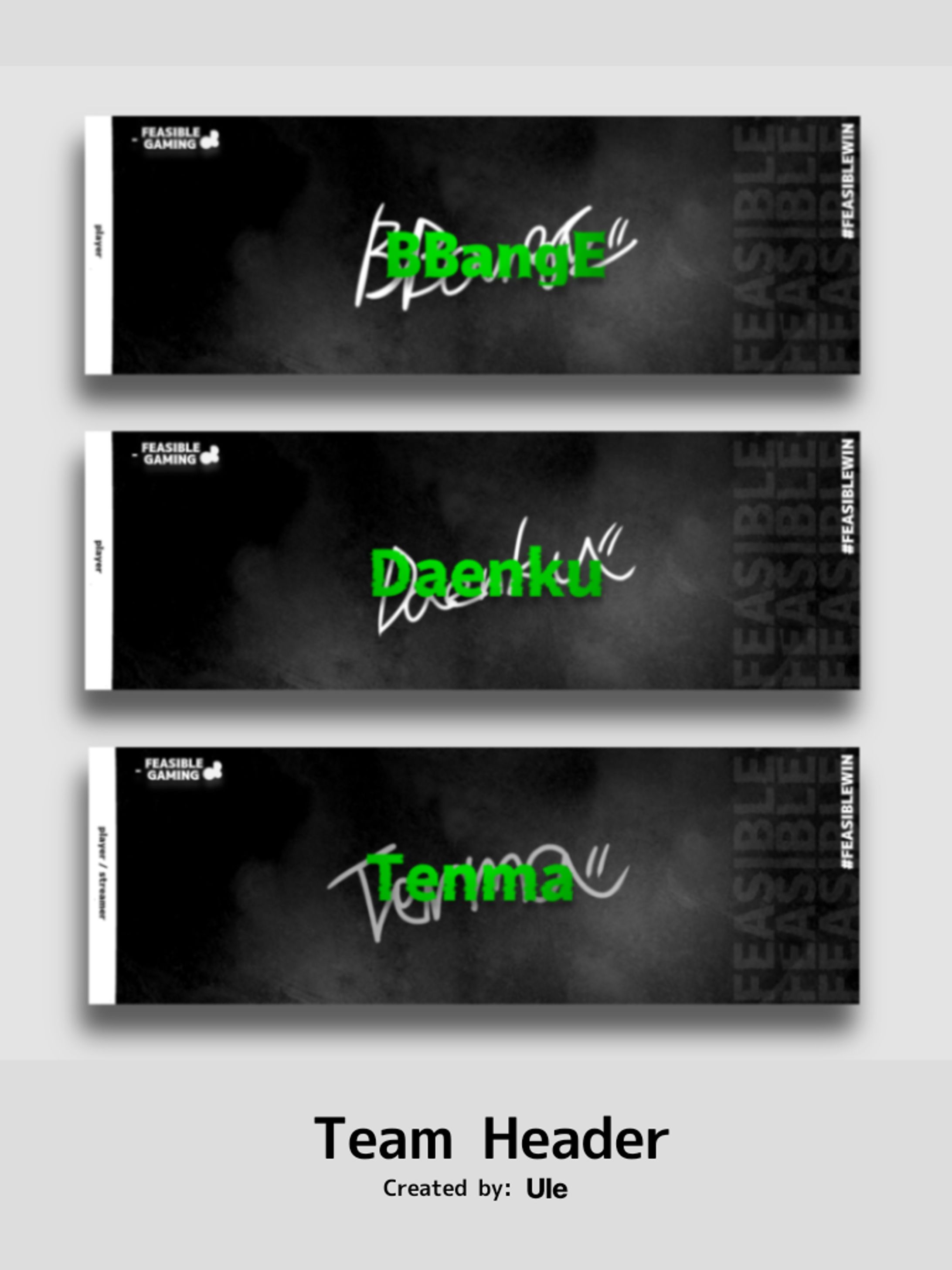 FeasibleGaming 様宛-1