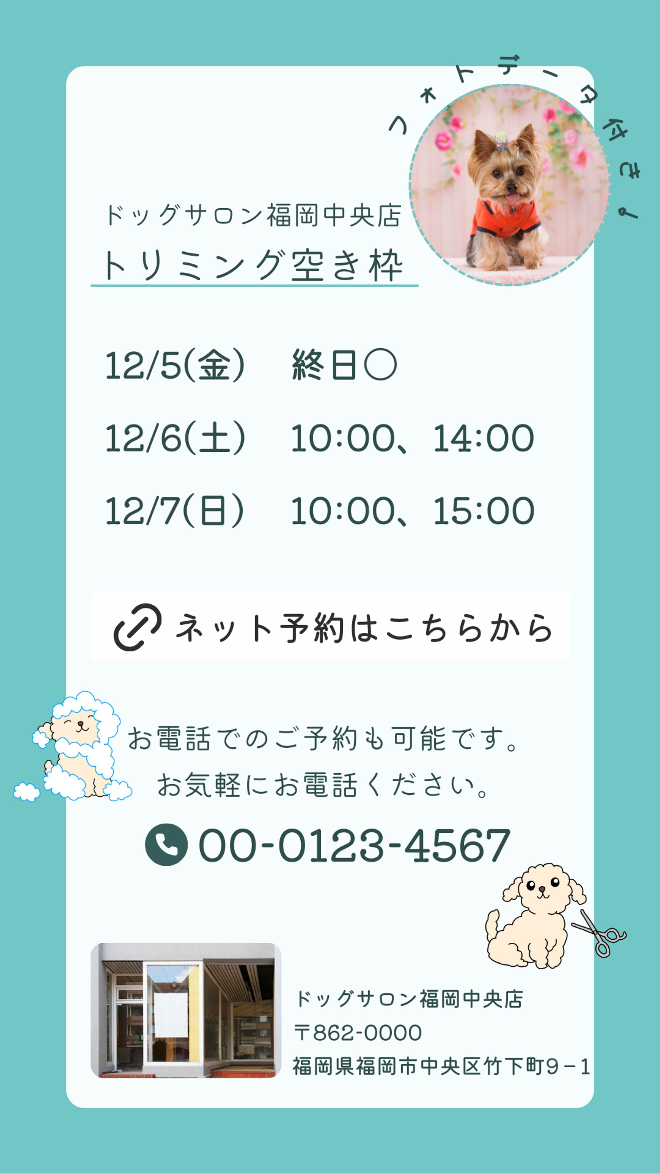 【実務】ペットサロン　Instagramストーリー投稿画像-1