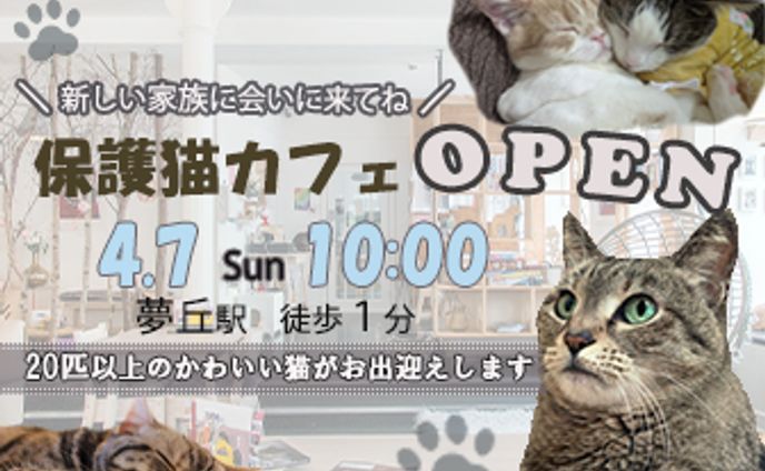架空　保護猫カフェバナー