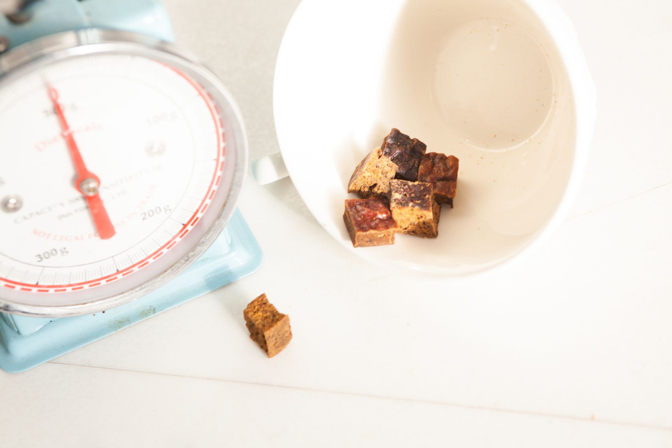 ペットフードの撮影イメージ-1