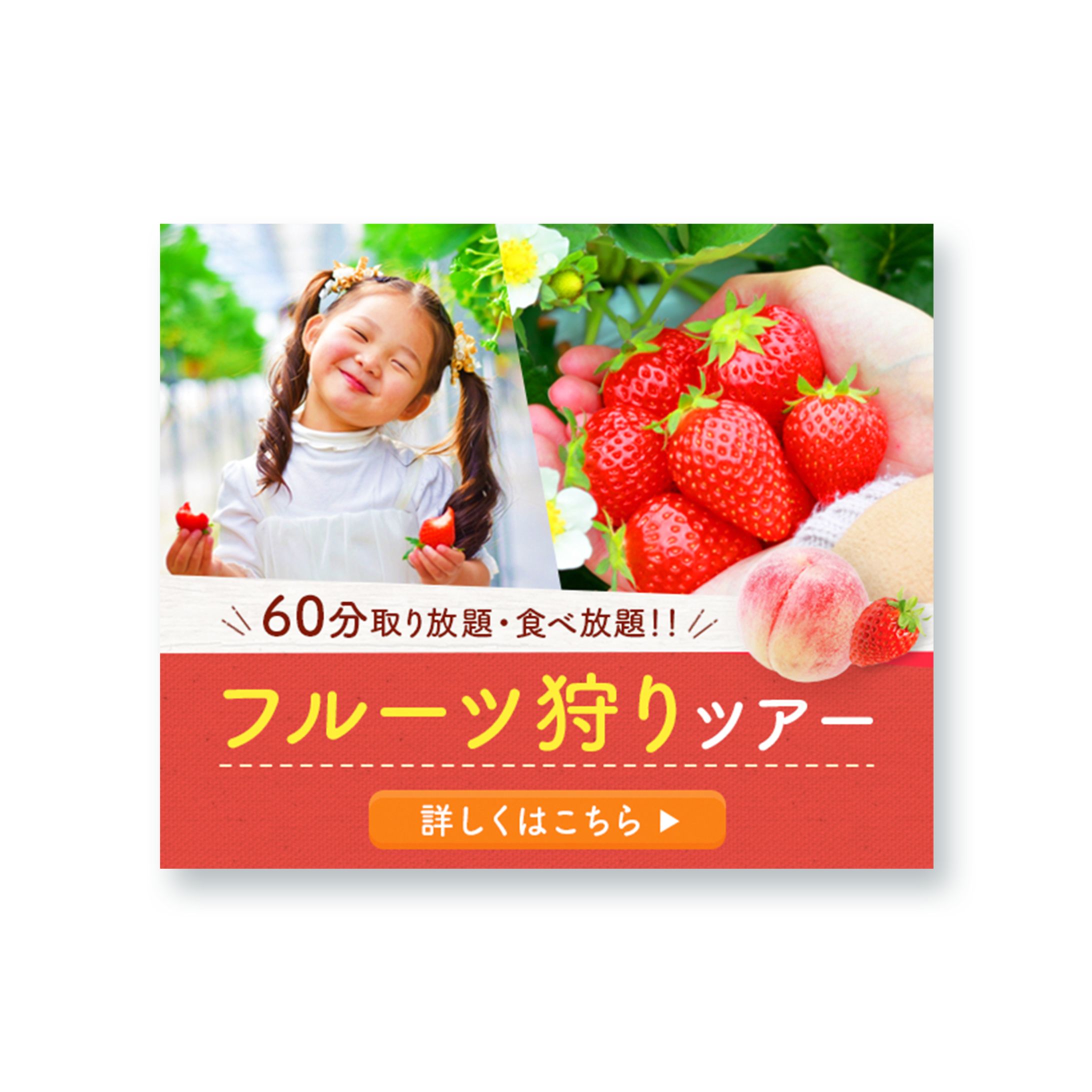 フルーツ狩りツアー-1