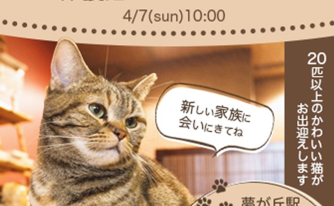 猫カフェOPEN!