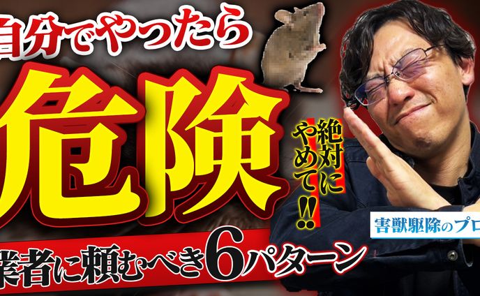 サムネイル作品