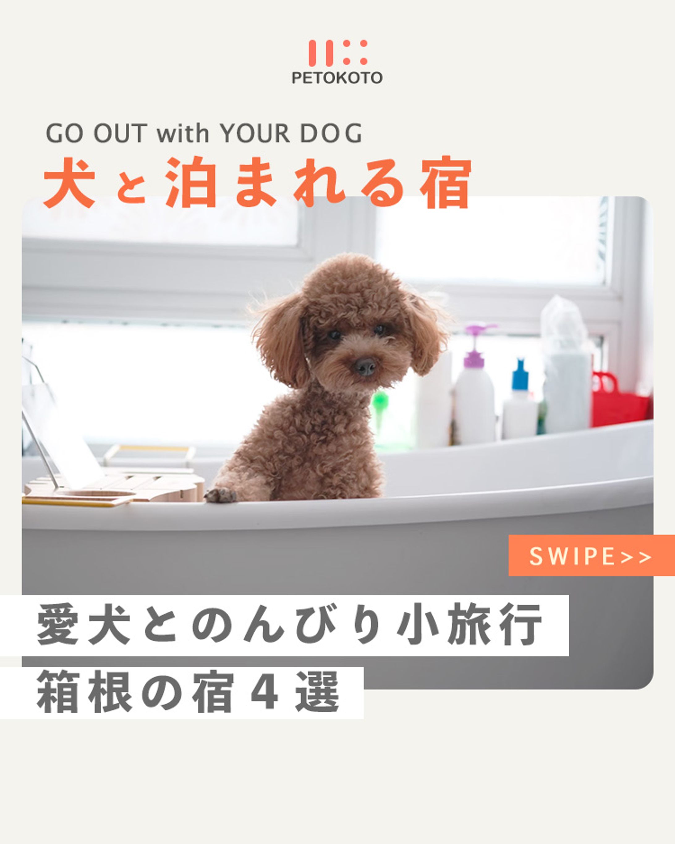 愛犬と泊まれる箱根の宿-1