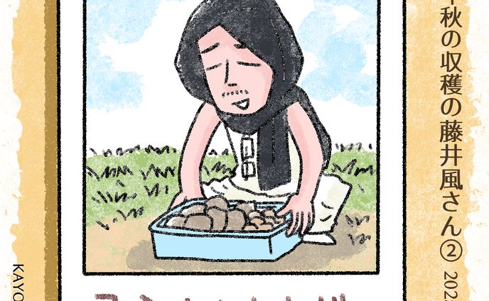 20251107収穫風氏2 