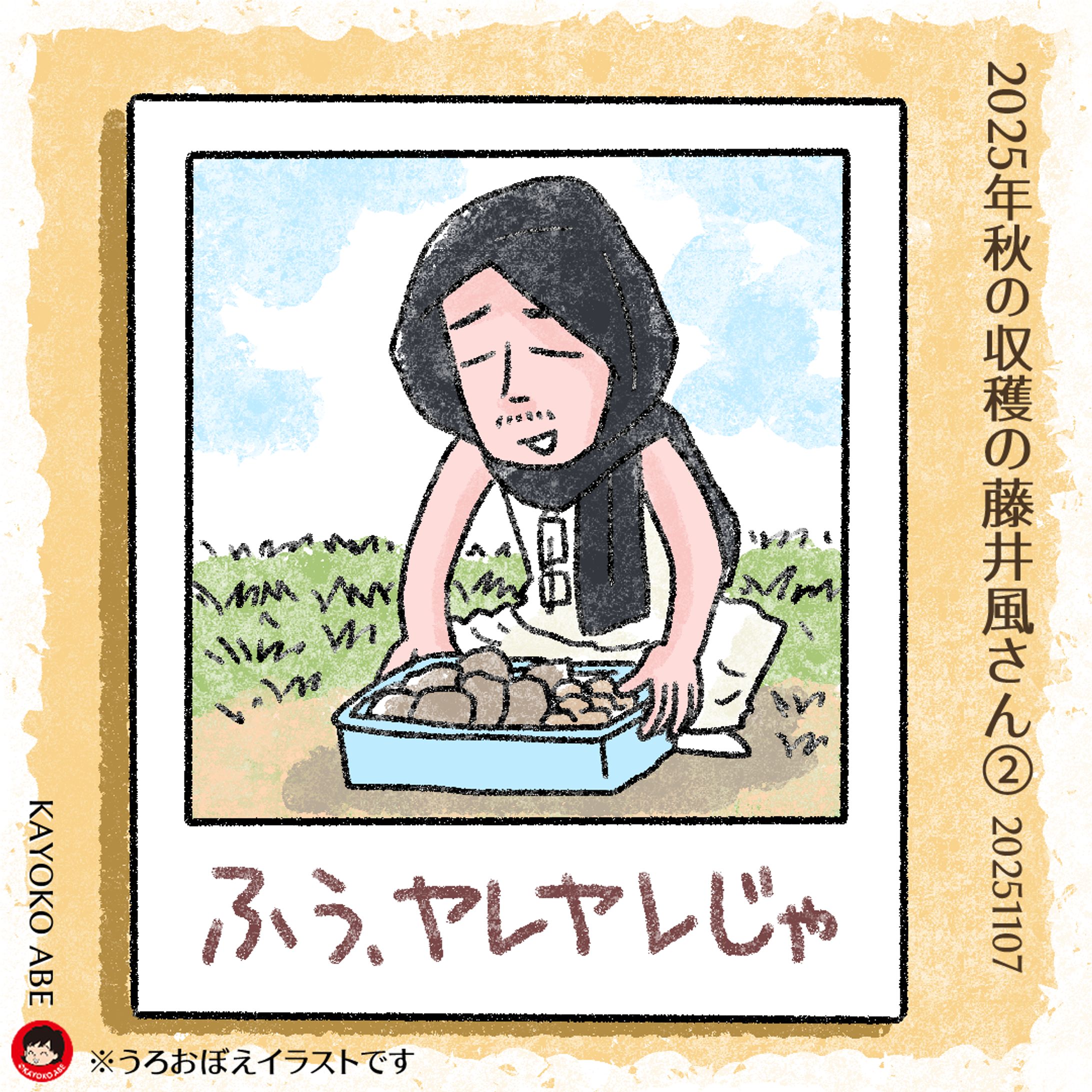 20251107収穫風氏2 -1