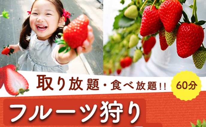 【バナー】フルーツ狩り