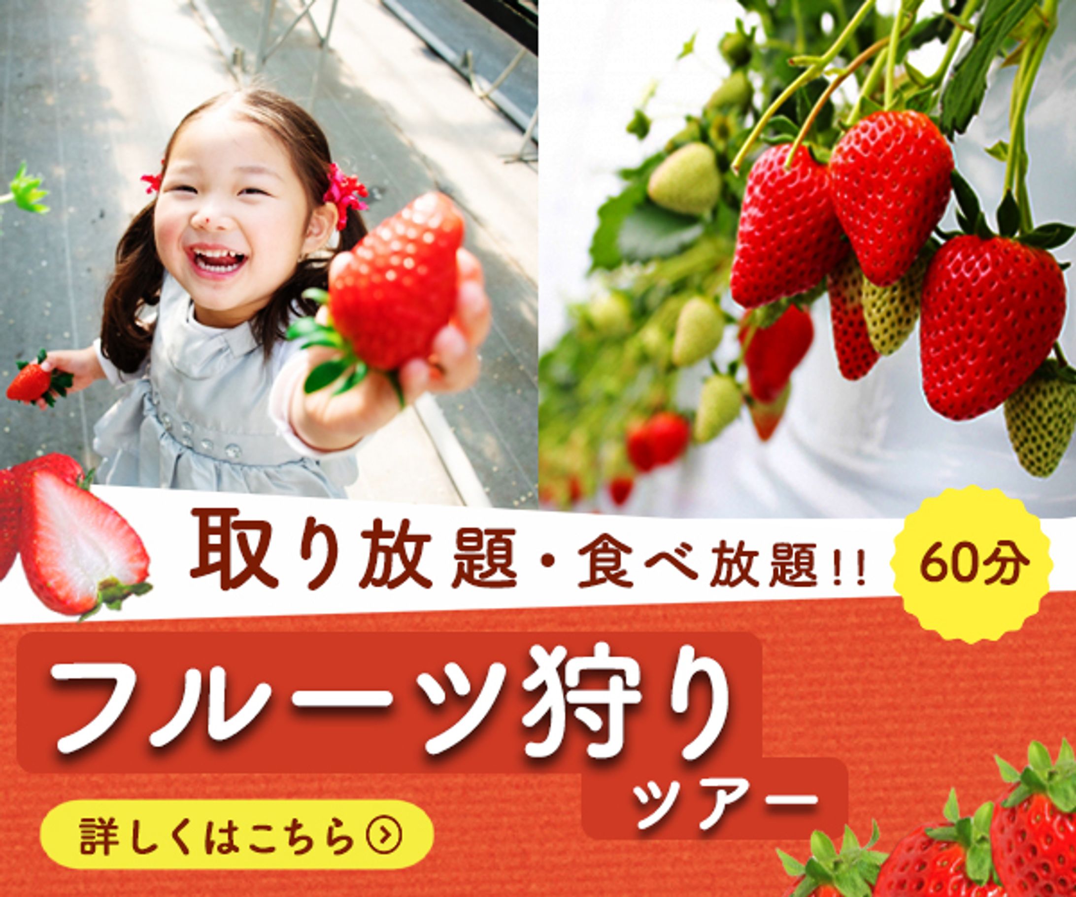 【バナー】フルーツ狩り-1